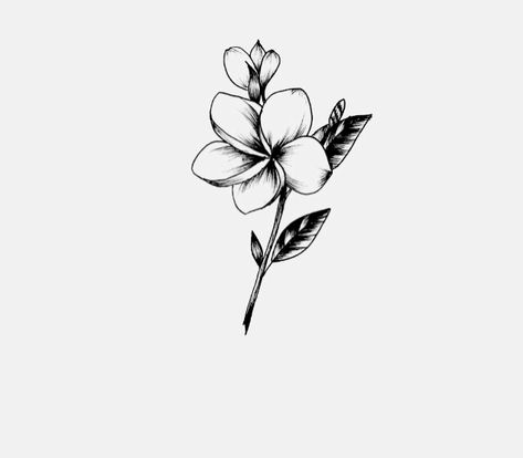 Wavy Flower Tattoo, Frangipani Flower Drawing, Embroidery Practice, Frangipani Tattoo, Wine Tattoo, Tattoo Catalog, Tatoo Inspiration, Cool Doodles, Pretty Tattoos For Women