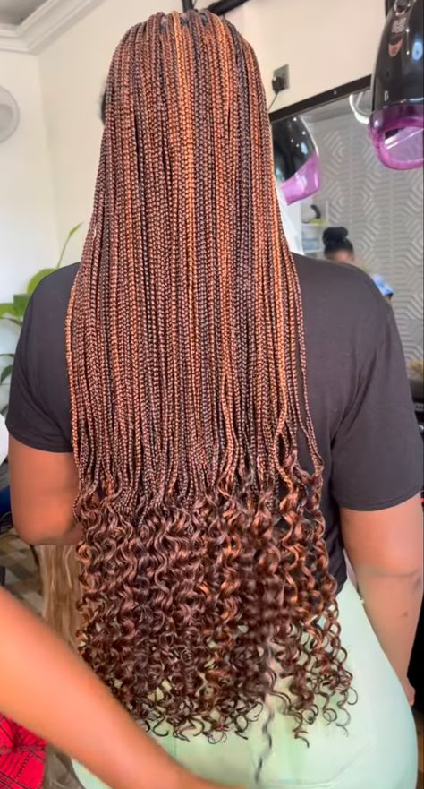 Notlessbox Braids Styles Long Colours, Notlessbox Braids Styles With Curls, Notlessbox Braids With Curls With Color, Notlessbox Braids Styles, Pretty Knotless Braids, Notlessbox Braids Styles Long, Small Knotless Box Braids With Curls, Pink Peekaboo, Braids Styling