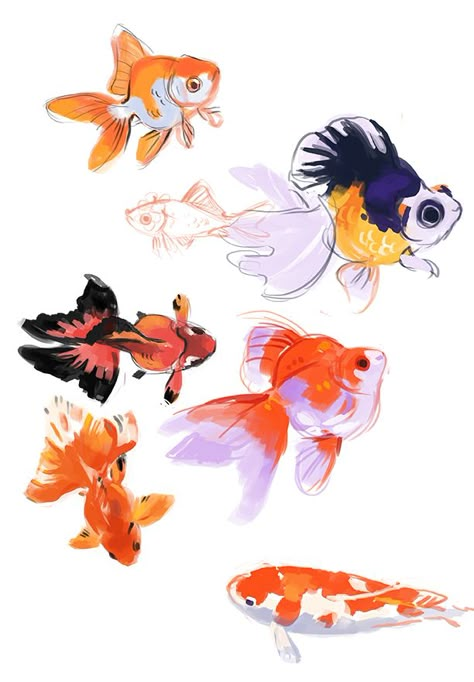 Konst Designs, Goldfish Art, 그림 낙서, Bel Art, Art Mignon, Fish Drawings, Drawing Style, 수채화 그림, Lukisan Cat Air