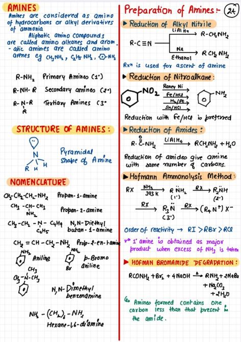 Organic Chemistry Notes Cheat Sheets, Amines Class 12 Notes, Amines Notes, Organic Chemistry Cheat Sheet Class 12, Organic Chemistry Notes Class 12, Amines Class 12, Chemistry Flashcards, Organic Chemistry Cheat Sheet, 11th Chemistry Notes