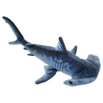 Blue Printed Hammerhead Shark Plush Toy 24 L * Have a look at the photo by visiting the link. (This is an affiliate link). #funkolove Shark Stuffed Animal, Shark Tale, Shark Toy, Shark Plush, Cute Shark, Hammerhead Shark, Planet Blue, Shark Week, White Sharks