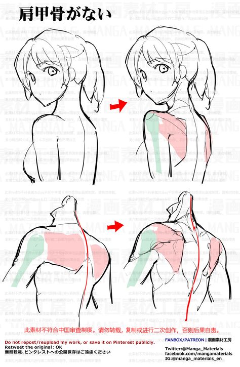 Anime Anatomy, Female Anatomy Reference, Figure Studies, Human Anatomy Drawing, Body Drawing Tutorial, Human Anatomy Art, Female Reference, Anatomy Sketches, Body Reference Drawing