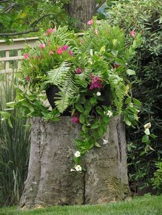 10 Amazing Tree Stump Ideas for the Garden | Hometalk Tree Stump Decor, Tree Stump Planter, Balkon Decor, Garden Planters Pots, Tree Stumps, Garden Containers, Tree Stump, Garden Trees, Flower Planters