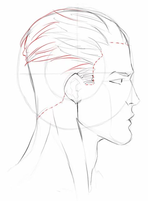 Head. Side view. Men Side Profile Drawing Reference, Face Profile Drawing, Side Face Drawing, Head Step By Step, Male Face Drawing, Side View Drawing, Anime Face Drawing, Profile Drawing, Face Profile