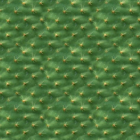 Seamless texture. cactus leaf structure ... | Premium Photo #Freepik #photo #background #texture #plant #nature Cactus Texture, Texture Plant, Cactus Background, Cactus Backgrounds, Cactus Leaves, Cactus Graphic, Leaf Structure, Plant Texture, Logo Design Inspiration Branding