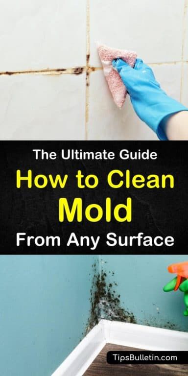 How To Clean Mold, Cleaning Black Mold, Cleaning Corner, Kill Black Mold, Black Mold Removal, Clean Black Mold, Mold Cleaner, Mold Smell, Kill Mold