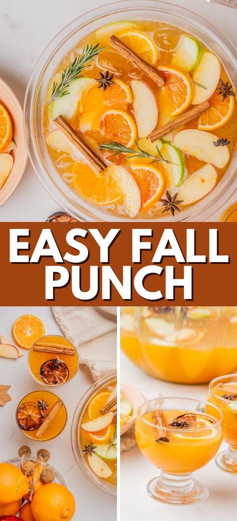 Fall Harvest Punch – is an aromatic Thanksgiving punch that uses all the fall goodies – ginger beer, oranges, apples, apple cider, anise pods, cinnamon sticks and more. Easy fall cocktail recipe, perfect for a large crowd. Thanksgiving Breakfast Drinks, Harvest Punch Non Alcoholic, Punch Thanksgiving, Thanksgiving Drinks Non Alcoholic, Harvest Punch, Fall Punch Recipes, Fall Punch, Best Disneyland Food, Thanksgiving Punch