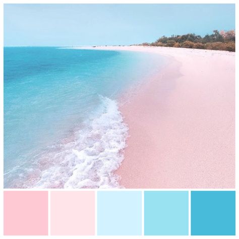 Coral Beach Color Palette, Pink Beach Color Palette, Summer Pastel Colour Palette, Pink Blue Pastel Palette, Crystal Colour Palette, Colour Palette Blue Pink, Pastel Pink And Blue Color Palette, Beachy Colour Palette, Pink And Blue Beach Room