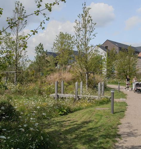 Søndervold Nature Park — SLA Green Roof Garden, Pocket Park, Deep River, Public Space Design, Nature Park, Urban Park, Community Park, Natural Park, Replant