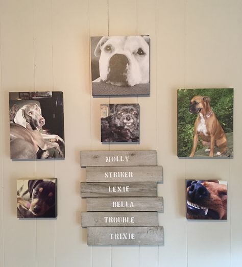 Our photo wall . Beloved dogs , past and present, now have a special place in our home. Pet Memorial Wall Ideas, Dog Memorial Wall Ideas, Dog Picture Wall Ideas, Dog Photo Wall Ideas, Pet Photo Wall Ideas, Pet Photo Wall, Pet Picture Wall Ideas, Memorial Wall In Home Diy, Mix Tile Photo Wall Ideas