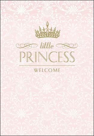 Welcome To The World Baby Girl, Welcome To Baby Girl, Welcome Baby Girl Quotes, Congrats Baby Girl, Quotes Congratulations, Baby Born Congratulations, Welcome Princess, Newborn Baby Quotes, Congratulations Baby Girl