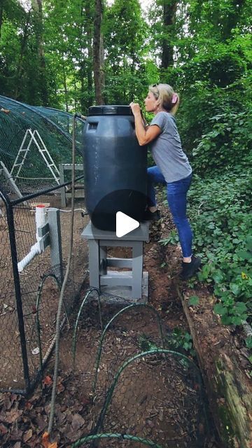 Katie Williams on Instagram: "We converted our @thechickenfountain from the garden hose to a rain barrel & it was so easy! The @thechickenfountain is so versatile, if you need a low maintenence watering system check it out! #chickenfountain #chickens #rainbarrel #diy #chickenrun #chickentunnel" Rain Barrel Waterer For Chickens, Chicken Watering System Diy, Chicken Coop Watering System, Rain Barrel Diy, Barnyard Chickens, Duck Waterer, Chicken Watering System, Katie Williams, Glitter Pens Art