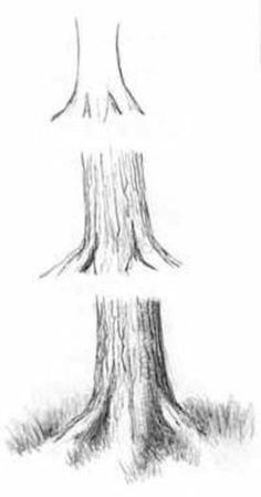 Draw Trees, Boom Kunst, Drawing Tutorials For Beginners, Drawing Eyes, Výtvarné Reference, Drawing Hair, Siluete Umane, Drawing Faces, 수채화 그림