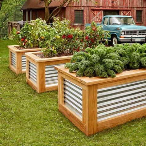 Pergola Modern, Cheap Raised Garden Beds, Taman Diy, Raised Garden Bed Plans, Cedar Raised Garden Beds, Garden Boxes Raised, Building Raised Garden Beds, Metal Raised Garden Beds, Building A Raised Garden