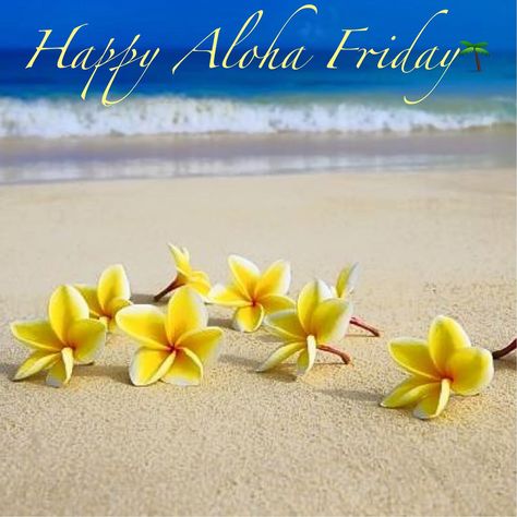 💛 Happy ALOHA 🤙Friday 💛 Hawaii Quotes, Happy Spring Day, Happy Aloha Friday, Happy First Day Of Spring, Sources Of Income, Friday Images, Happy Day Quotes, Be Proactive, Aloha Friday