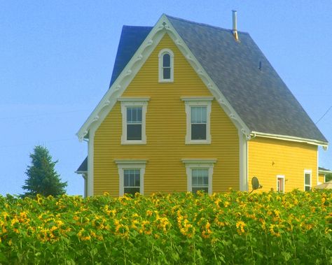 Pretty yellow house! Island Pics, Island Scenery, Yellow Cottage, Cottage Exterior, Yellow House, Yellow Houses, This Old House, House Color, Prince Edward Island