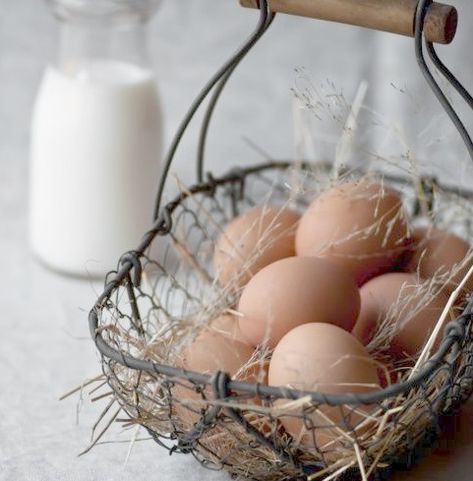 Apple Carrot Muffins, Eggs In A Basket, Carrot Muffins, Farm Fresh Eggs, Fresh Chicken, Egg Basket, Farms Living, Fresh Eggs, Chicken Eggs