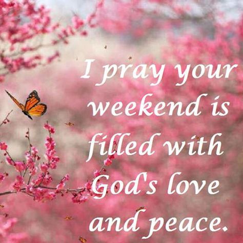 Blessed Weekend Quotes Inspiration, Lovely Weekend Quotes, Blessed Weekend Quotes, Quotes Weekend, Have A Blessed Weekend, A Blessed Weekend, Great Day Quotes, Week Blessings, Blessed Weekend