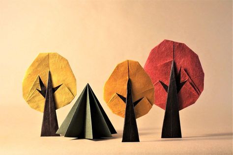 Trees designed by Nguyen Hung Cuong and folded by Pierre-Yves Gallard (source: ) #origami #forest Creative Origami, Origami Flowers, Autumn Forest, Origami Crafts, Tree Designs, Video Tutorial, Paper Lamp, Paper Flowers, Planting Flowers