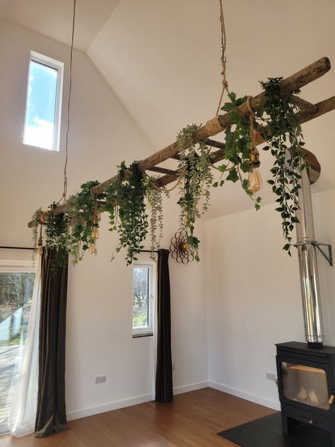 #naturalinteriordesign #hangingladder #hanginglightladder #hangingplantladder #woodburner #rustic #vintage #rustislights #eidsonbulbs #rusticladder #tomraffield #aramewalllight #walnut #modern #retreat #rest #naturallight #woodland #woodlandcentre #beechbraewoodlandcentre #scotland #natureurtures #beechbrae Indoor Plant Ceiling, Hanging Lamp With Plants, Hanging Ladder From Ceiling With Plants, Ceiling Plant Hanger Ideas, Things Hanging From Ceiling, Ceiling Plants Hanging, Plant Area Indoor, Hanging Ladder From Ceiling, Plant Ceiling Decor