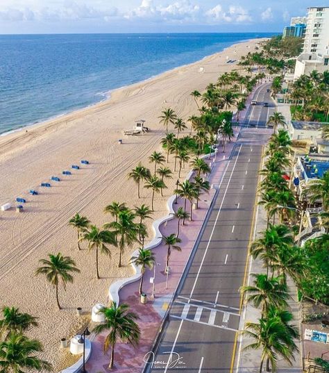 Fort Lauderdale Fort Lauderdale Florida Aesthetic, Florida Scenery, Pretty Pool, Houses By The Beach, Lauderdale By The Sea, Miami Vibes, Fall Beach, Florida Sunshine, Places In Florida