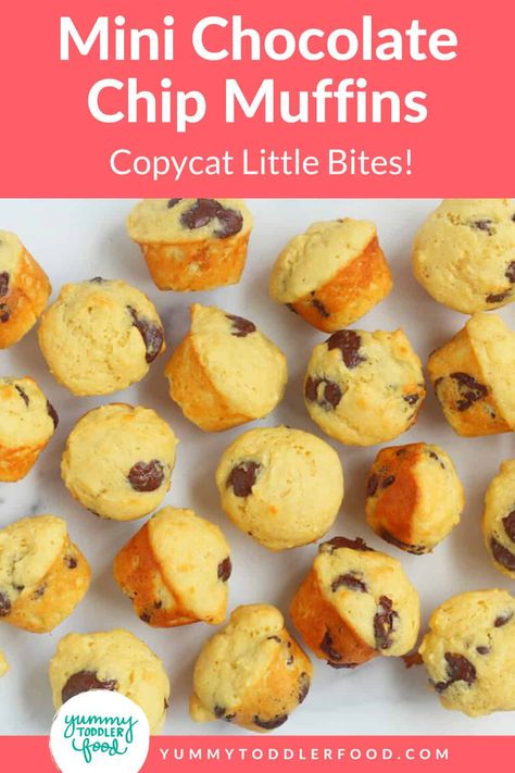 Chocolate Chip Mini Muffins (Little Bites Copycat) Copycat Little Bites, Chocolate Chip Mini Muffins, Mini Muffin Recipe, Mini Chocolate Chip Muffins, Kid Food, Chocolate Chip Muffins, Homemade Snacks, Mini Muffins, Mini Chocolate Chips