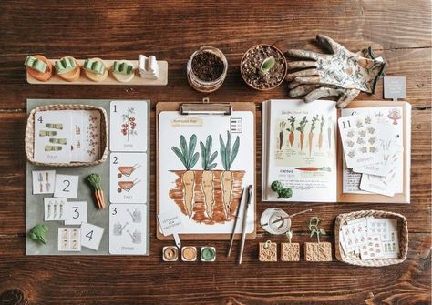 Montessori Unit Studies, Homeschool Nature Table, Harbor And Sprout, Farm Homeschool, Garden Unit Study, Homeschool Unit Studies, Montessori Garden, Unit Study Homeschool, Summer Homeschool