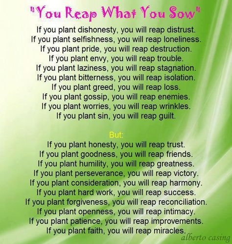 You reap what you sow. Reap What You Sow, Train Up A Child, Spiritual Inspiration, True Words, Your Soul, The Words, Inspirational Words, Life Lessons, Wise Words