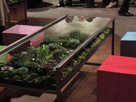 Table with plants Terrarium Coffee Table, Table With Plants, Blooming Table, Terrarium Table, Plant In Glass, Coffee Table Plants, Glass Planter, Green Accessories, Plant Table