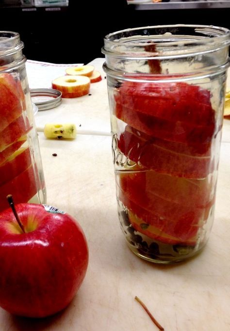 Stacked apple slices with spices in a jar Mcintosh Apple Recipes, Spiced Apple Rings, Apple Recipes For Canning, Squash Pickles, Fermenting Veggies, Fall Canning, Canned Squash, Pickled Apples, Pickled Peaches