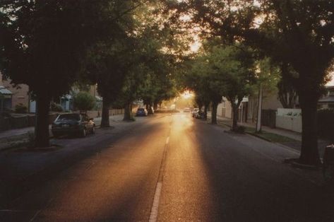 The Sun, Trees, Sun, Cars