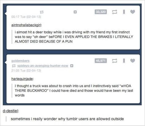 "Whoa there buckaroo!" Best Of Tumblr, Tumblr Users, Clean Humor, Funny Tumblr Posts, Can't Stop Laughing, Oh Deer, Laughing So Hard, Funny Pins, Tumblr Funny