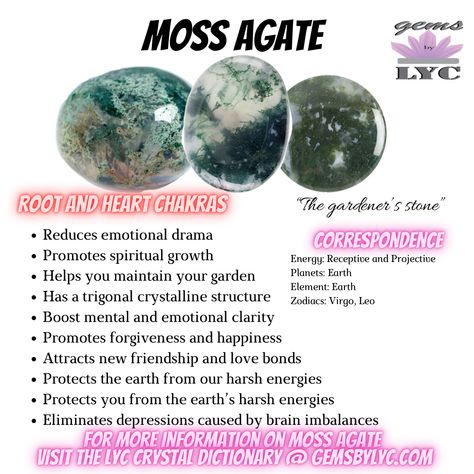 Green Moss Agate Crystal Meaning, Miss Agate Meaning, Green Agate Crystal Meaning, Green Moss Agate Meaning, Moss Agate Properties, Green Agate Meaning, Moss Agate Crystal Meaning, Moss Agate Meaning, Crystal Dictionary