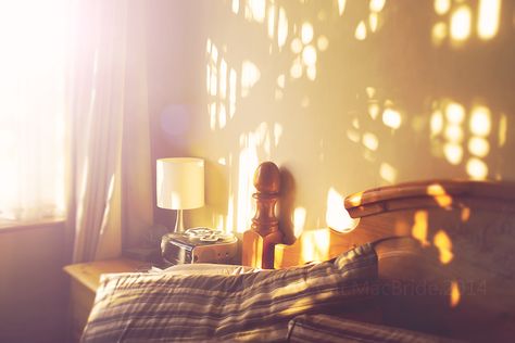 COISA BOA Morning Light Bedroom, Sunlight On Wall, Warm Light Aesthetic, Soft Light Aesthetic, Morning Sunlight, Colour Theme, Sun Light, Luz Natural, Through The Window