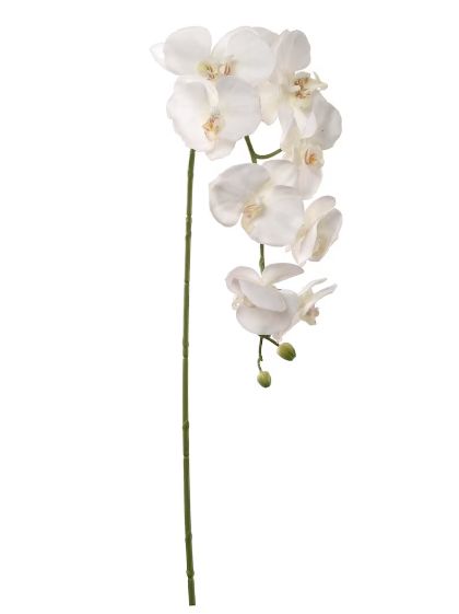 White Phalaenopsis Orchid, Bridal Shower Centerpieces, Artificial Orchids, Faux Floral Arrangement, Flower Guide, Phalaenopsis Orchid, White Orchids, Artificial Roses, Faux Plants