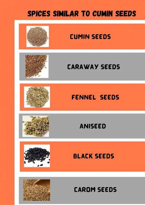 Do not confuse caraway seeds and cumin seeds. These two are not only different in their taste but also uses for cooking.Using the wrong spice will change the taste of the dish. This guide will help in clarifying the difference between caraway VS cumin and the other seed spices. Cumin Substitute, Cumin Benefits, Cleansing Drink, Losing Weight Quickly, Seeds Benefits, Growing Healthy Hair, Pimples Remedies, Easy Indian Recipes, Nigella Seeds