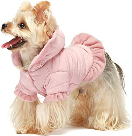 Amazon.com : Fitwarm Ruffle Dog Coat, Puffer Jacket, Dog Winter Clothes for Small Dogs Girl, Pet Cat Hooded Outfit, Pink, Medium : Pet Supplies Teach Dog Tricks, Puffer Jacket With Hood, Standard Dachshund, Teacup Breeds, Cute Dog Clothes, Dog Winter, Dog Winter Clothes, Dog Winter Coat, Girl Cat