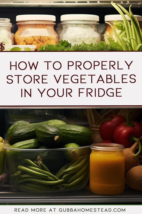 How to Properly Store Vegetables in Your Fridge Best Way To Store Produce In Fridge, Vegetable Fridge Storage, How To Preserve Vegetables In Fridge, How To Organize Vegetables In Fridge, Storing Veggies In Fridge, How To Store Salad In Fridge, Storing Fresh Vegetables In Mason Jars, How To Store Produce In The Fridge, Fridge Vegetables Storage