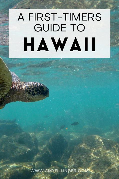 Are you planning your first trip to Hawaii? Congrats! As a Hawaii Travel Agent, I often work with first-time Hawaii visitors. I created this first-timers guide to Hawaii to help you plan the best Hawaii vacation #hawaiivacation #firsttimetohawaii #hawaiitraveltips First Trip To Hawaii, First Time In Hawaii, Visiting Hawaii For The First Time, Hawaii Itenary, Planning A Trip To Hawaii, Hiking In Oahu Hawaii, Best Hawaiian Island, Hawaii Cruise, Hawaii Trip Planning