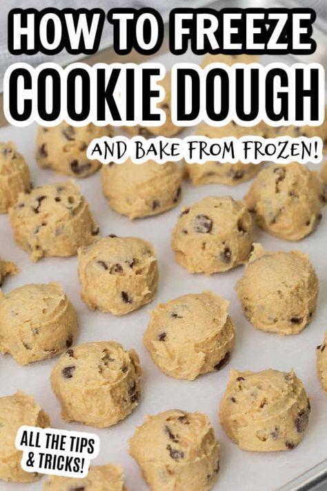 Freezable Cookie Dough, Freezing Cookie Dough, Freezer Cookie Dough, Freeze Cookies, Freeze Cookie Dough, Freezable Cookies, Christmas Cookie Dough, Freezer Cookies, Homemade Cookie Dough