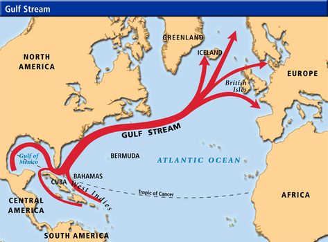 Map of the Gulf Steram. The Gulf Stream is a powerful warm, swift Atlantic ocean current that flows along the coast of the Eastern United St... Weather Science, Gulf Stream, Ocean Current, 6th Grade Science, Storm Surge, Weather Seasons, Arctic Ocean, Oceanography, Weather Patterns