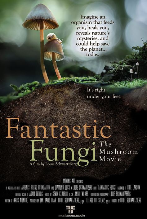 Fantastic Fungi, The 5th Wave, Popular Ads, Secrets Of The Universe, Invisible Man, Digimon Adventure, Friends Show, True Life, Borderlands