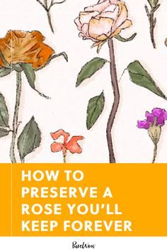 How to Preserve a Rose Youll Keep Forever #purewow #home #flowers How To Keep A Flower Forever, Keeping Flowers Forever, How To Save A Rose Forever, How To Preserve Roses Forever, How To Keep Roses Forever Dried Flowers, Diy Forever Rose, How To Keep Flowers Forever, How To Preserve A Rose, How To Save Flowers Forever