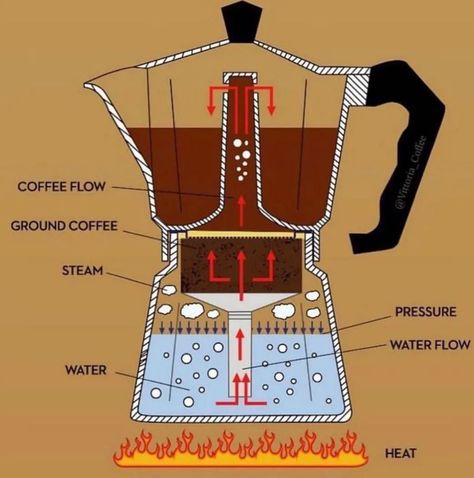 The Classy Issue Syphon Coffee Maker, Mocha Pot, Coffee Slogans, Coffee Steam, Ways To Make Coffee, Coffee Infographic, Coffee Origin, Coffee Cup Art, Coffee Guide