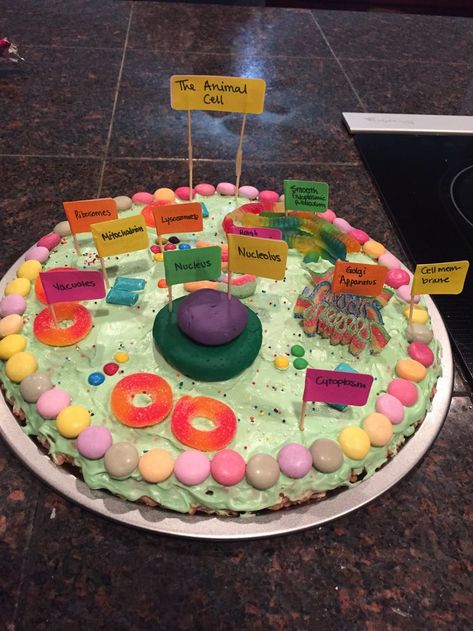 Animal Cell Project on Pinterest | Edible Animal Cell, Plant Cell ... Animal Cell Cake Project Labeled, Cell Cake Project Ideas, Animal Cell Project Cake, Animal Cell Project Ideas, Edible Animal Cell Project, Animal Cell Cake Project, Cell Project Ideas, 3d Animal Cell Project, Plant Cell Cake