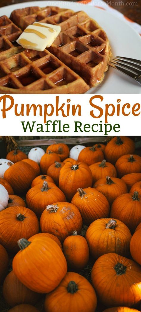 Pumpkin Spice Waffles - One Hundred Dollars a Month Pumpkin Waffles Recipe, Pumpkin Spice Waffles, Waffle Maker Recipes, Pumpkin Spice Recipe, Waffles Recipe, Pumpkin Waffles, Fall Breakfast, Delicious Treats, Waffle Recipes