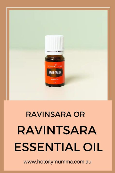 Ravensara Essential Oil Uses, Essential Oil Massage Oil Diy, Ravintsara Essential Oil, Ravensara Essential Oil, Diy Massage Oil, Cinnamomum Camphora, Palmarosa Essential Oil, Essential Oil Companies, Essential Oils For Massage