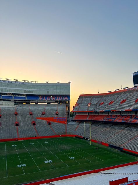 Rush Aesthetic, College Goals, Florida Football, Florida Gators Football, Gators Football, College Aesthetic, Dream College, Dream School, College Experience