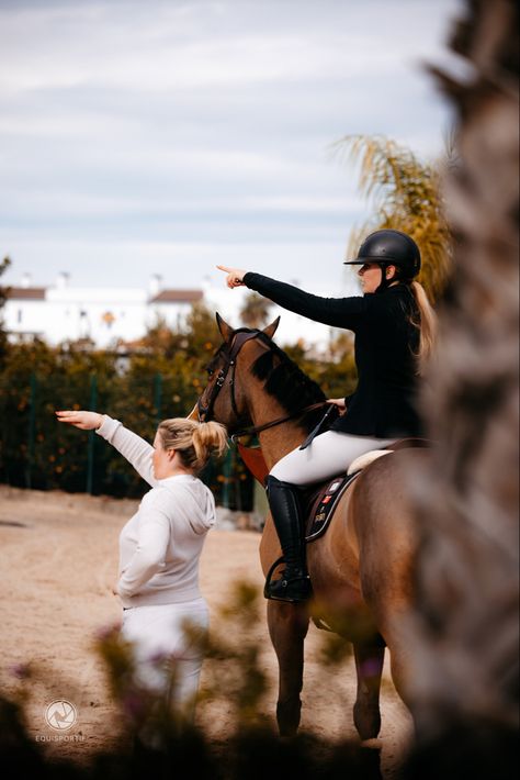 Horsey Life, Aesthetic Post, Equestrian Aesthetic, Bay Horse, Equestrian Girls, Horse Aesthetic, Equestrian Sports, Equestrian Life, Horse Jumping