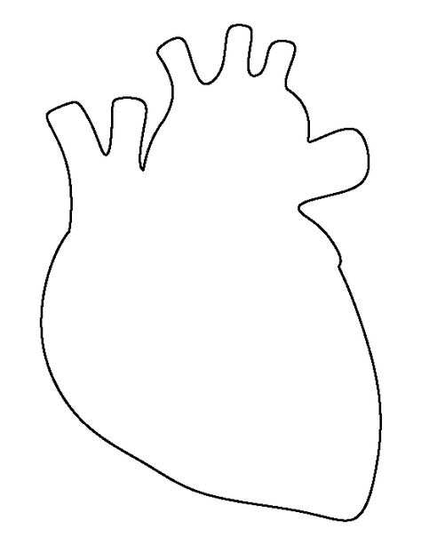 Human heart pattern. Use the printable outline for crafts, creating stencils, scrapbooking, and more. Free PDF template to download and print at http://patternuniverse.com/download/human-heart-pattern/ Human Heart Template Printable Free, Anatomical Heart Printable Free, Diy Anatomical Heart, How To Draw A Real Heart, Heart Outline Drawing, Anatomical Heart Outline, Human Heart Outline, Human Heart Art, Anatomical Heart Drawing